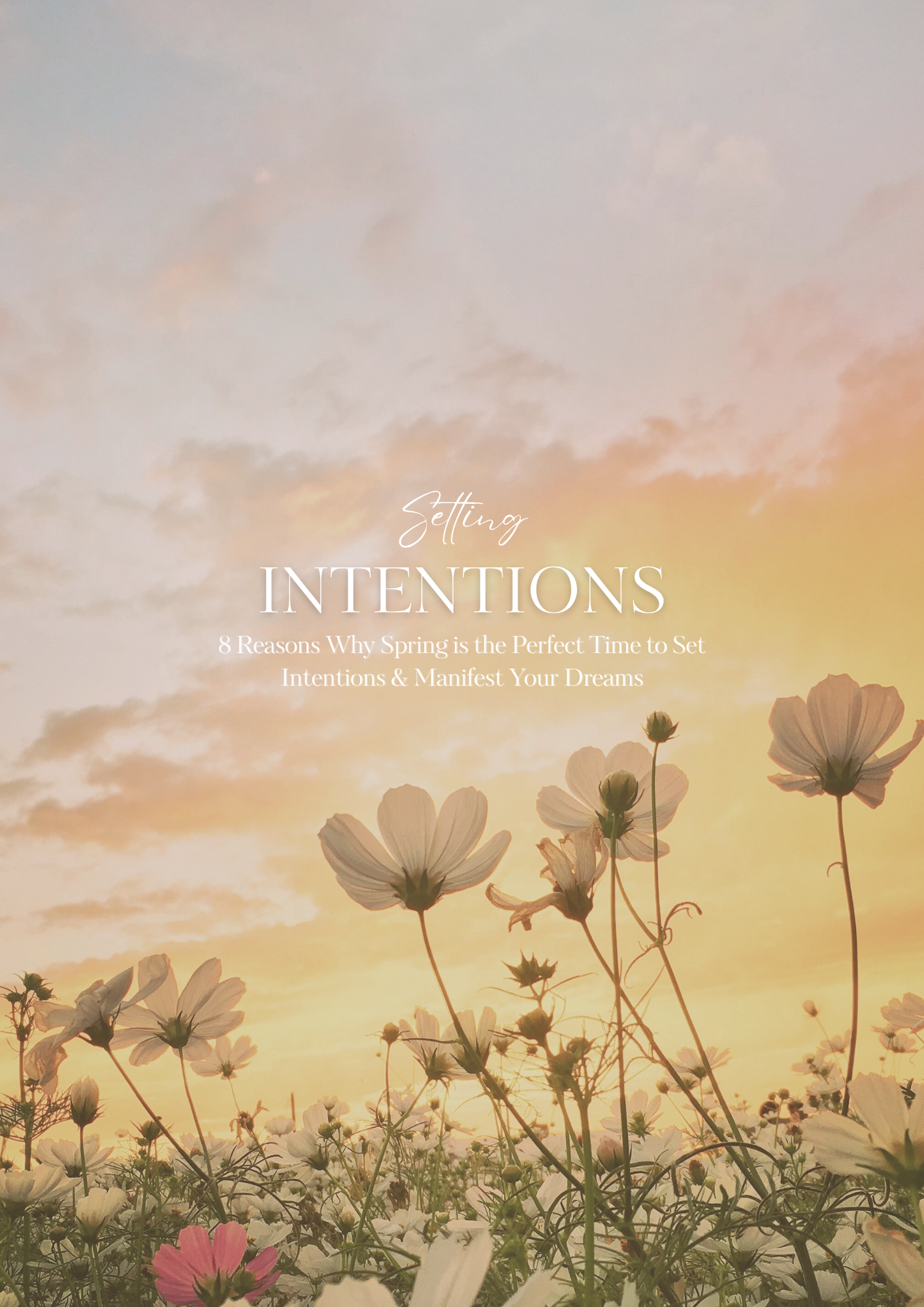 8 Reasons Why Spring is the Perfect Time to Set Intentions & Manifest Your Dreams