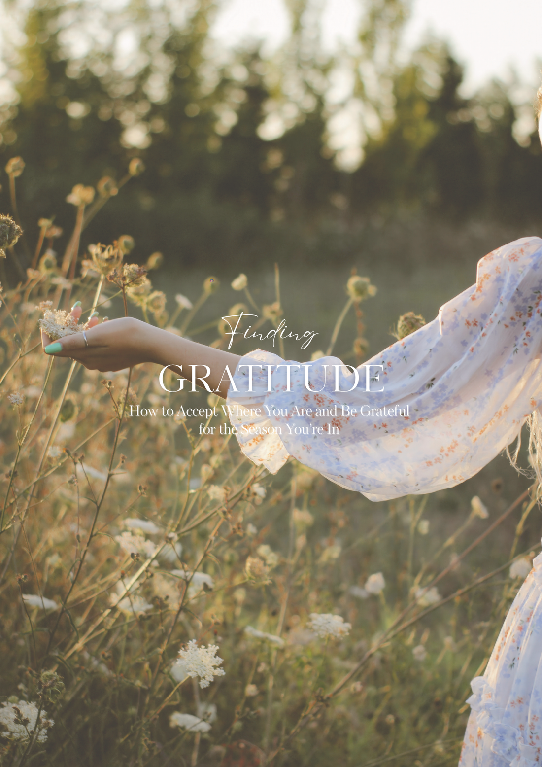 How to Accept Where You Are (and Be Grateful for the Season You’re In)